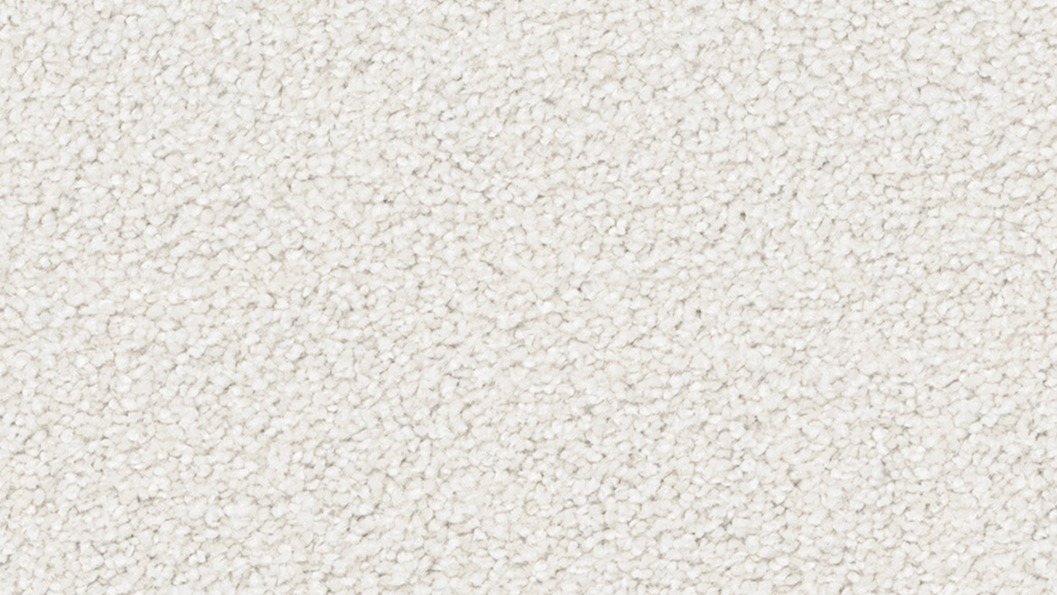 Regal Elegance - Image 2