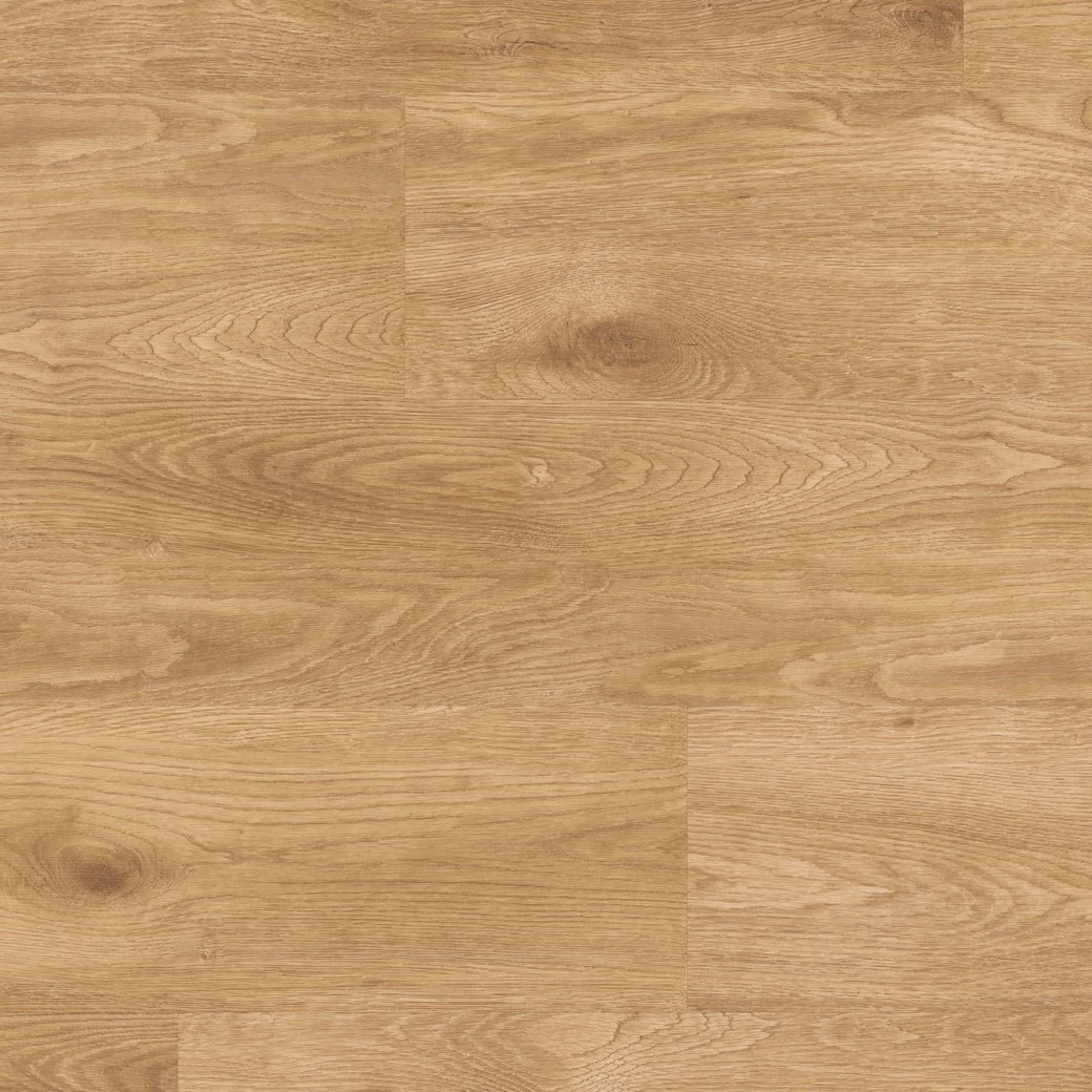 LLP108 Providence - Image 2